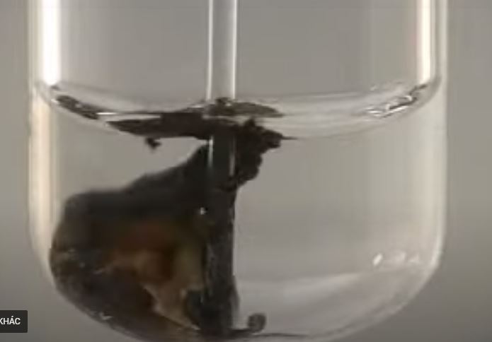 Thí nghiệm của sodium sulfide tác dụng với dung dịch lead nitrate
