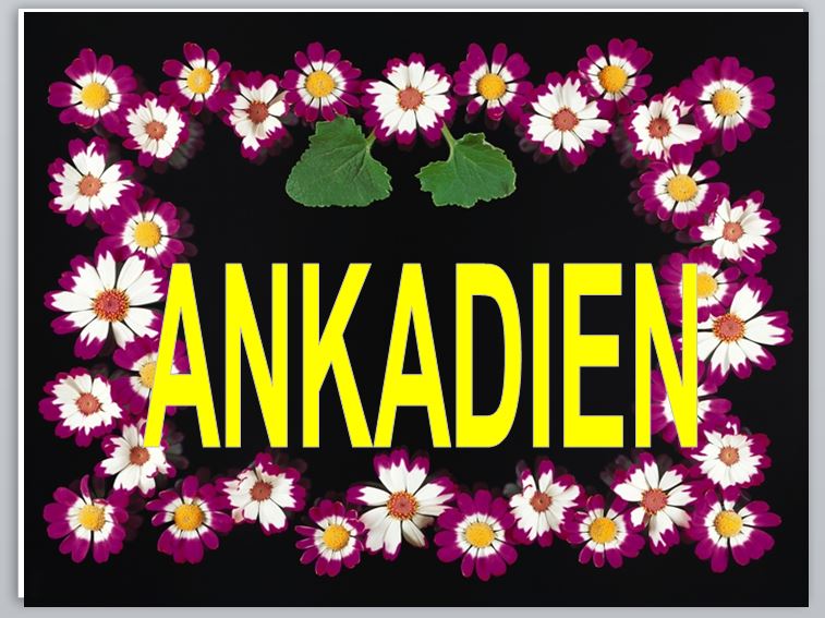 Bài 30. Ankađien
